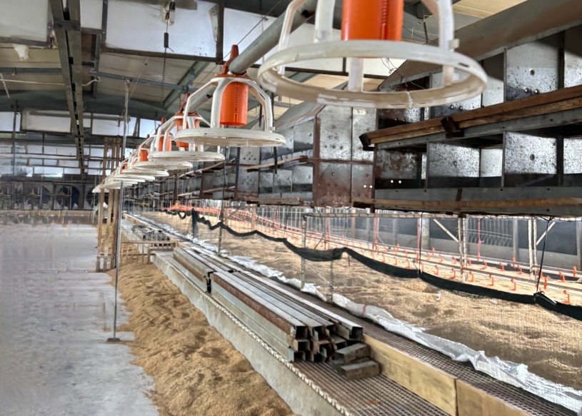 印尼 鸡舍_副本.jpg