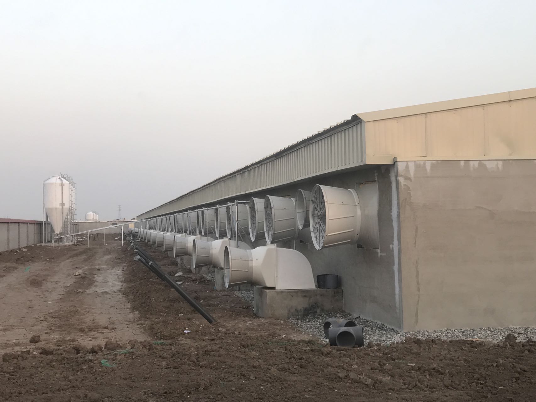 -Shandong Binzhou Project