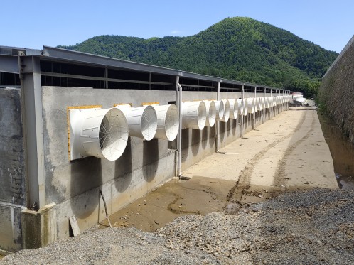 -Zhejiang Zhuji Project