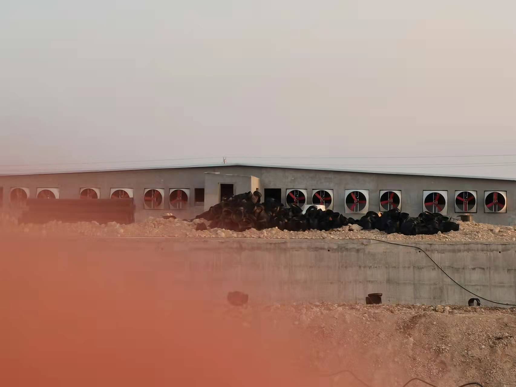 -Hainan HongMing Project